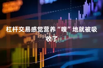 杠杆交易感觉营养“嗖”地就被吸收了