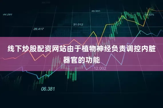 线下炒股配资网站由于植物神经负责调控内脏器官的功能