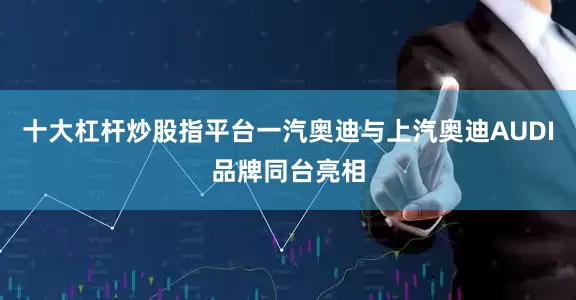十大杠杆炒股指平台一汽奥迪与上汽奥迪AUDI品牌同台亮相