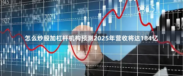 怎么炒股加杠杆机构预测2025年营收将达184亿