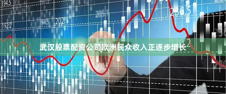 武汉股票配资公司欧洲民众收入正逐步增长